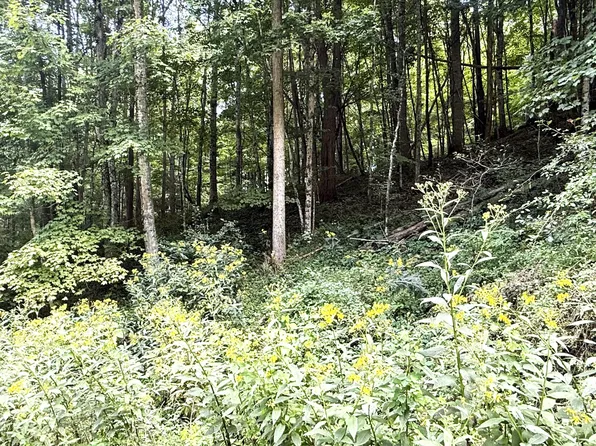Little Mountain Dr, Hillsboro, WV 24946