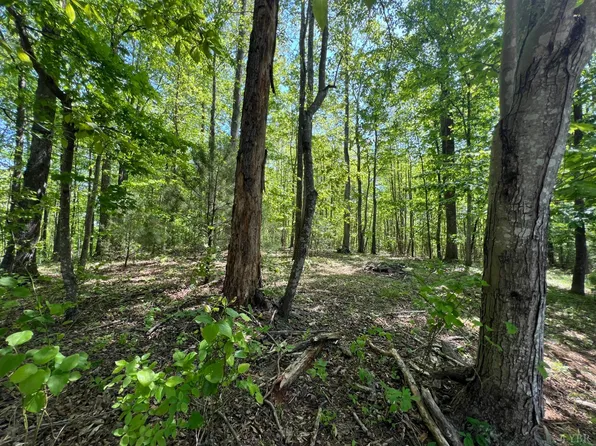 0 Discovery Trl, Big Island, VA 24526