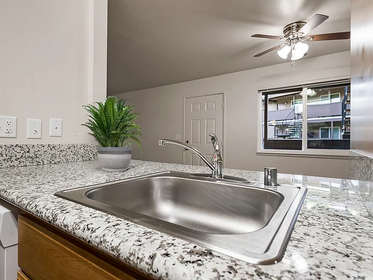 Pine Tree Apartments — Photo 16