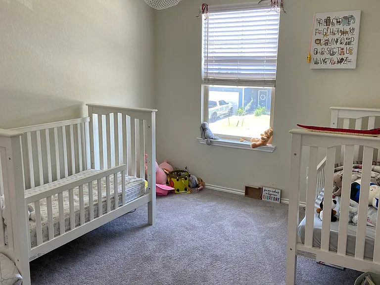 236 Prairie Falcon Way — Photo 8