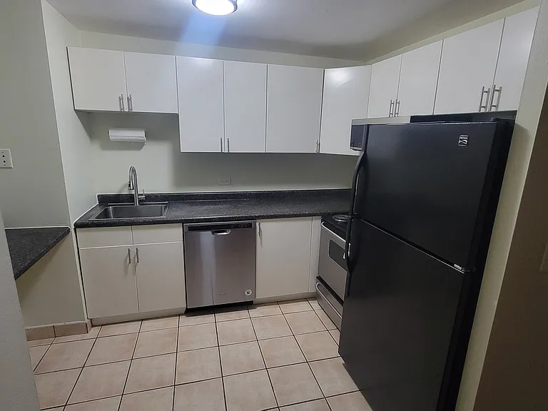 233 E Erie St #2201 — Photo 9
