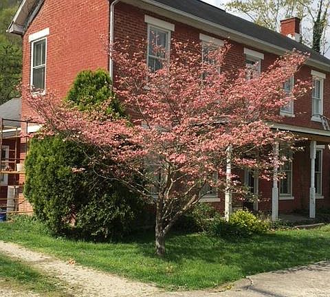 3rd image of 474 Front St