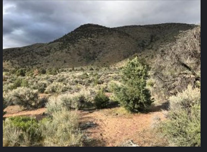 761 Camp Antelope Rd, Coleville, CA 96107 Zillow