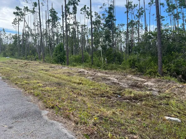 LOT 33 E Bay Dr, Wewahitchka, FL 32465