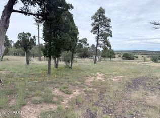 1807 Rocky Ln, Show Low, AZ 85901