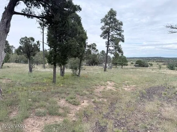 1807 Rocky Ln, Show Low, AZ 85901