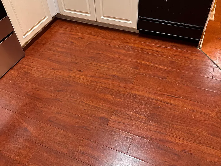 1161 Primrose View Cir — Photo 10