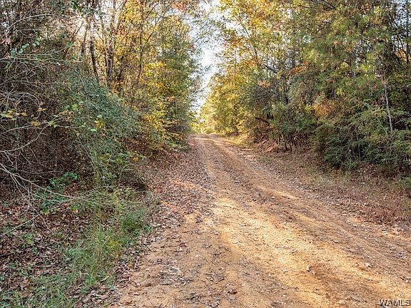 2nd image of 0 County Road 231
