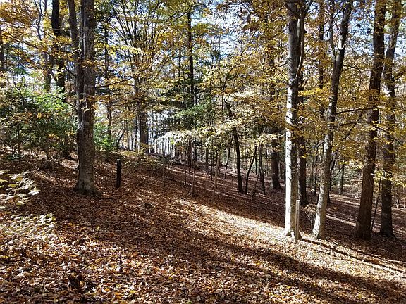 5th image of Timber Hill Ct Lot 12