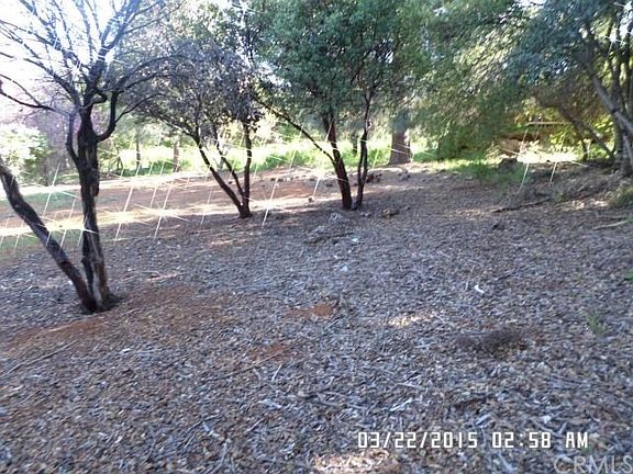 5th image of 5516 Vista Dr