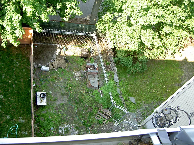 back yard