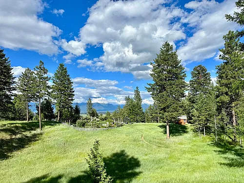 132 Pine Shelter Photo 1