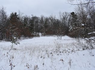 0 Clements Rd, Brethren, MI 49619