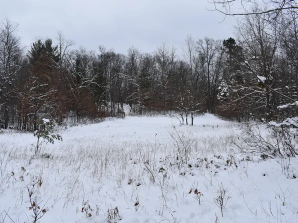 0 Clements Rd, Brethren, MI 49619