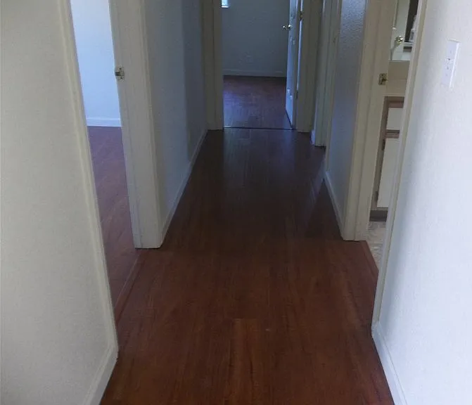 954 Crisp Dr — Photo 5