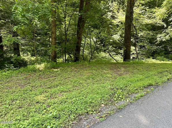 706 School House Gap Rd House Gap, Sevierville, TN 37876