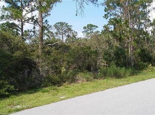 182 Polk St, Lake Placid, FL 33852