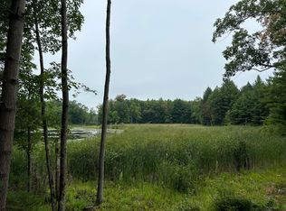 V/l Highway Us #10, Baldwin, MI 49304