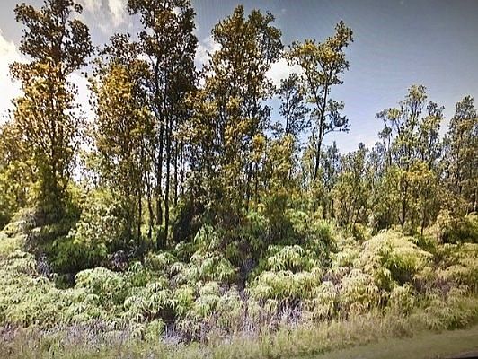 1st image of Pomaikai St Lot 61