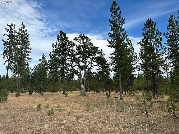 5th image of LOT 5 Greyback Mountain Road 5