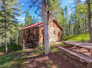 112 Usfs 383 Rd, Divide, CO 80814