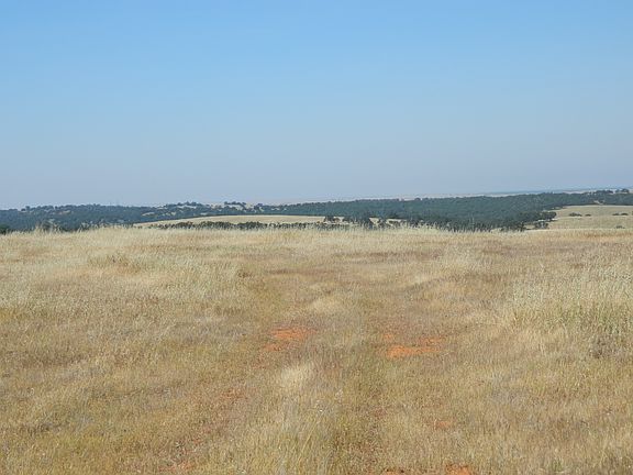 3rd image of 4350 Coulter Lane