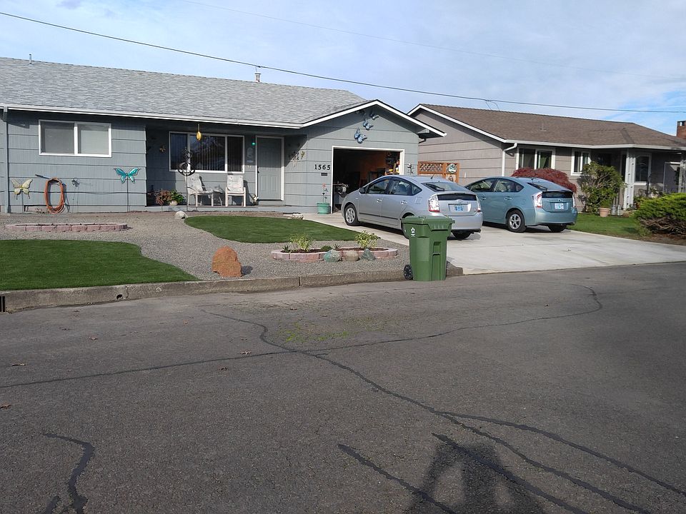 front yard, artificial grass