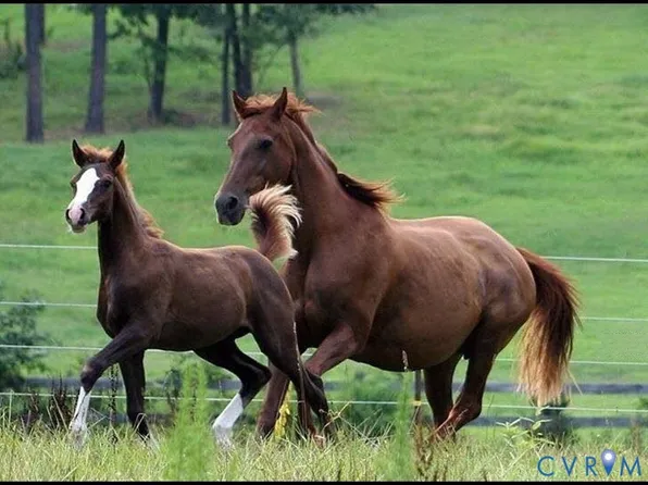 Benchmark Trl, Amelia Court House, VA 23002