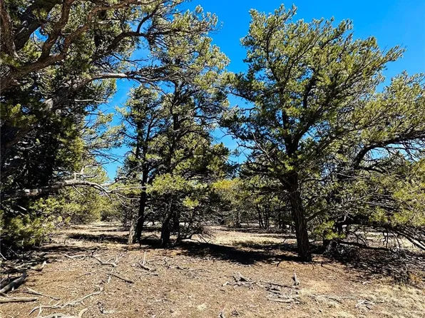 TBDD, Cotopaxi, CO 81223