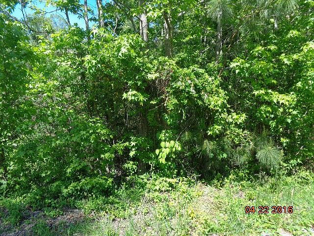 2nd image of 206 Dursely Dr