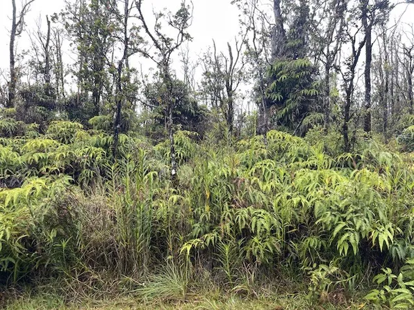 11-3031 Ala Kapena Lot 45, Volcano, HI 96785