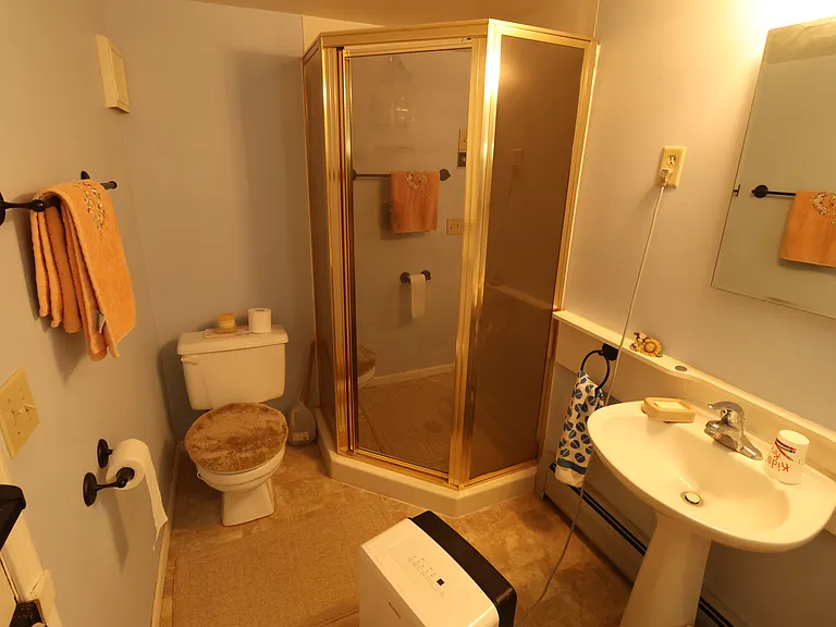 Downstairs bathroom - alt view
