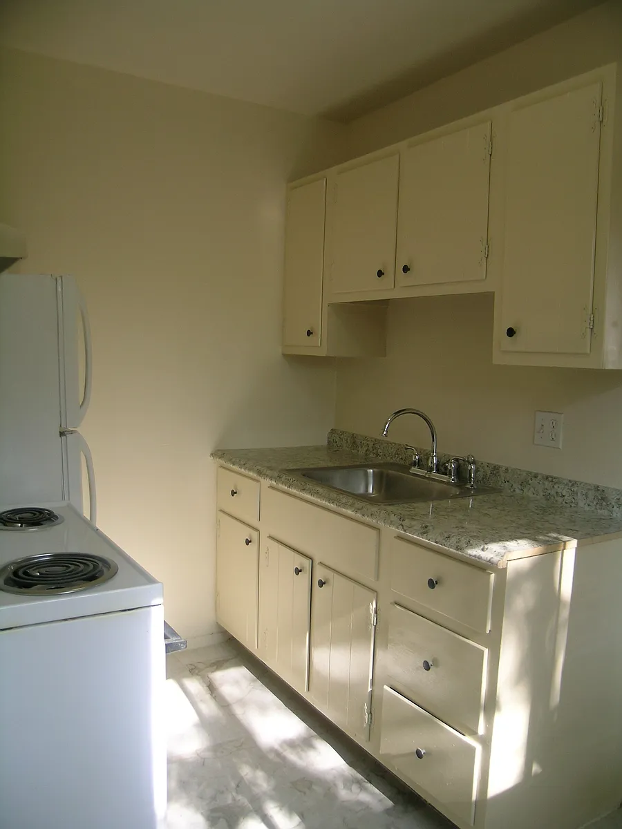 Kitchen - 206 Atkinson St #5