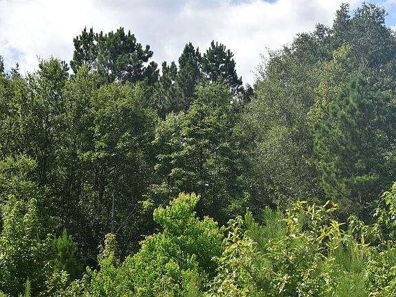 2nd image of McGarrahan Rd