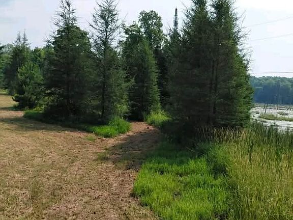 5th image of 1491 Smith Rd SW