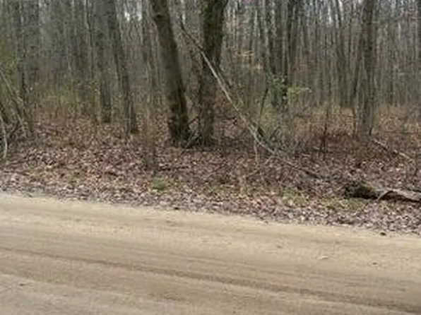 3 E Pakes Rd, Stanton, MI 48888