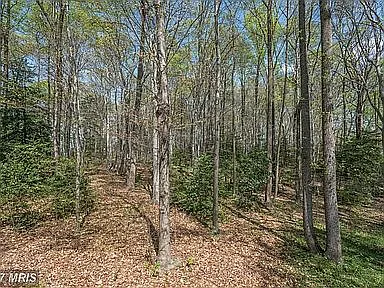 View North from the back porch.