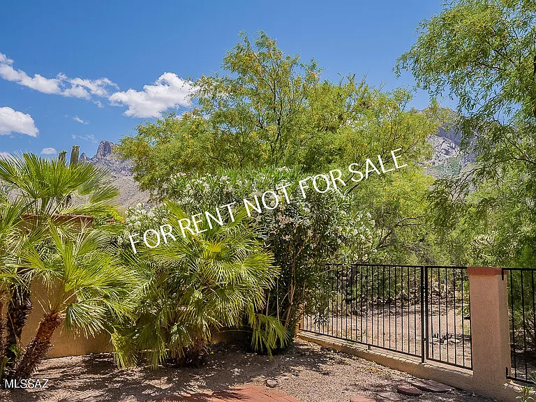 936 E Camino Diestro — Photo 44