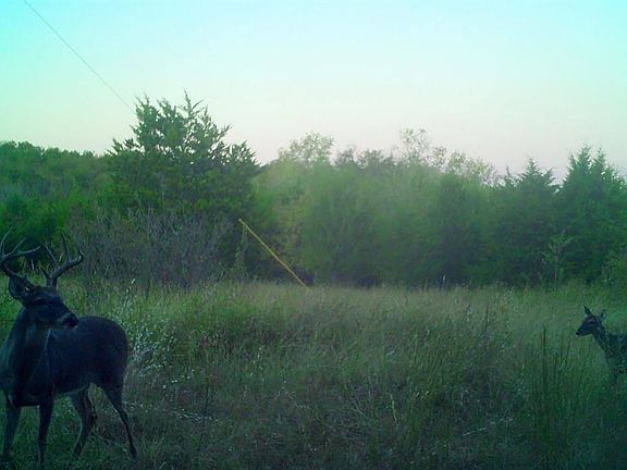 5th image of 1120 County Road 3550