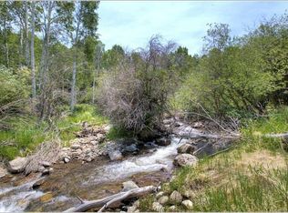 226 Polar Star Rd, Edwards, CO 81632