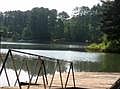 2nd image of Palmetto Pointe Dr. Lot 12
