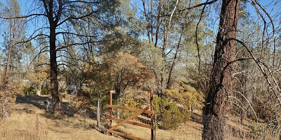 2nd image of 7204 Horseshoe Dr