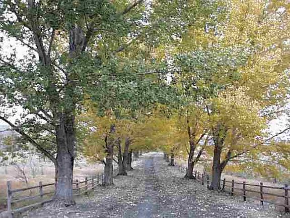 5th image of LOT 48 Kanaka Ct
