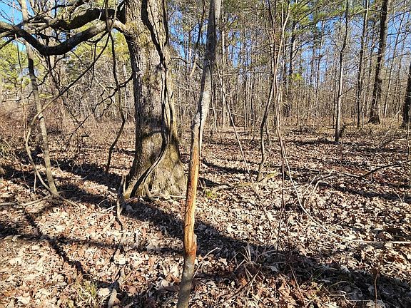 5th image of 463 McGee Rd