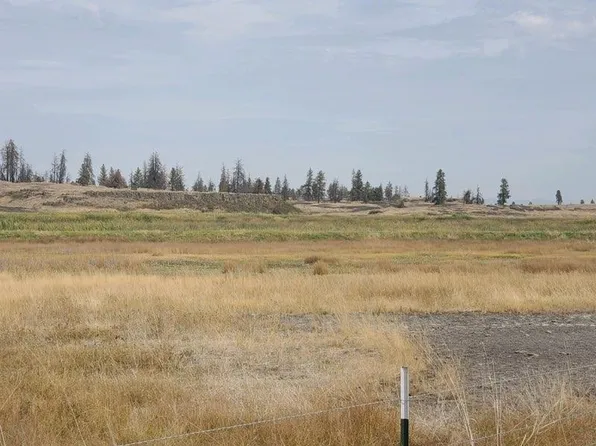 Telford Rd N, Davenport, WA 99122