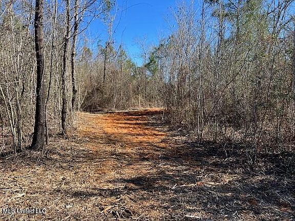 3rd image of 4058 Forrest Rd