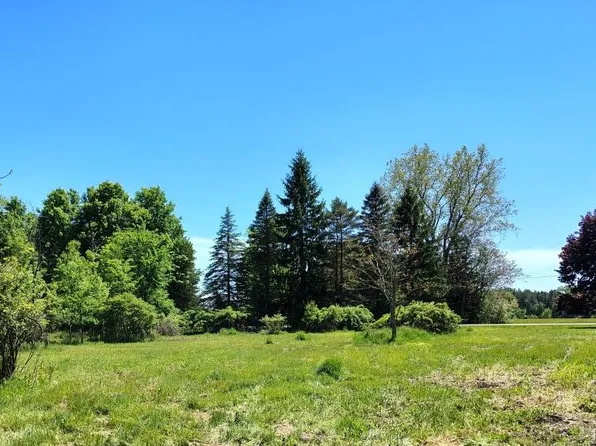 5600 Hemingway Lake Rd, Otter Lake, MI 48464