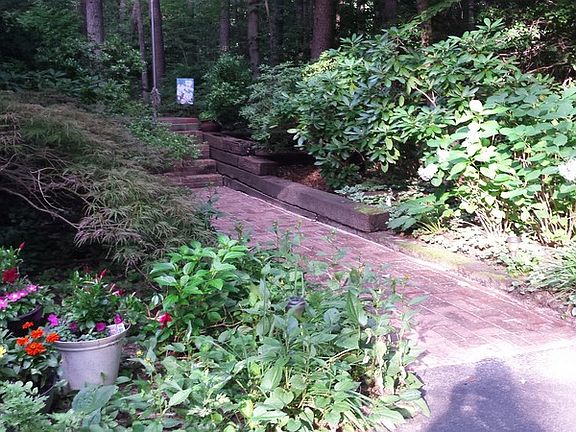 Landscaping Along Front Walk