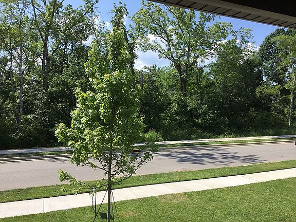 5th image of 309 Carellton Dr