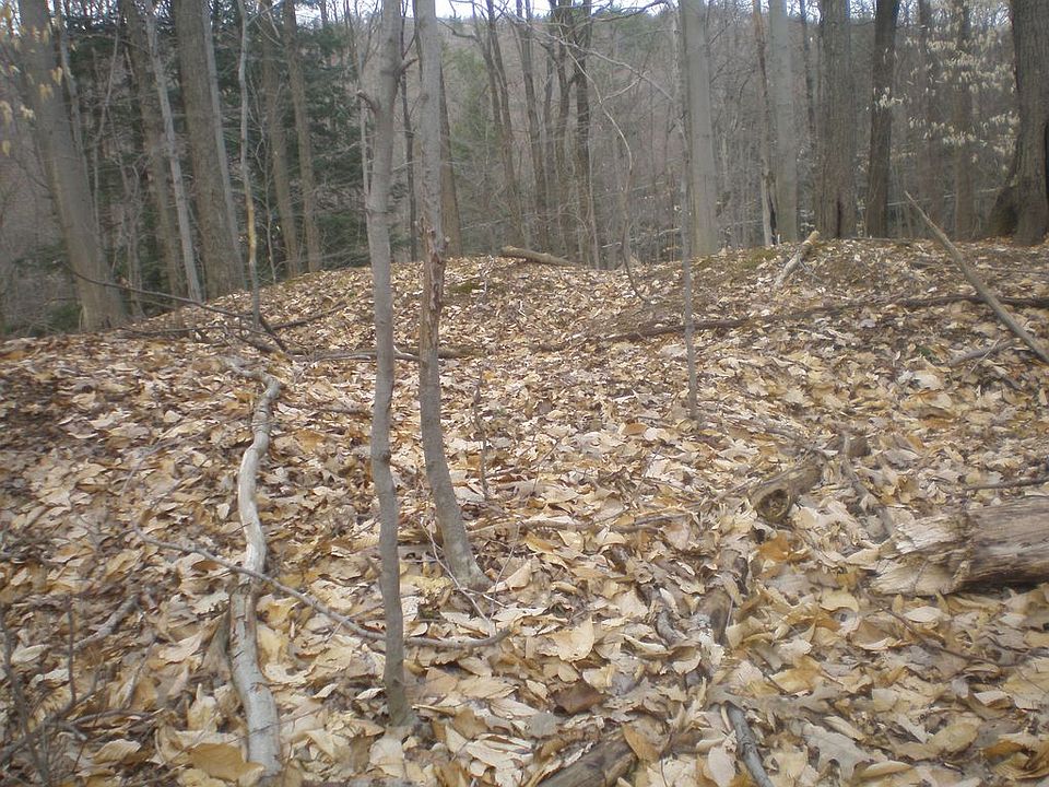 2nd image of Culebra Ct #729